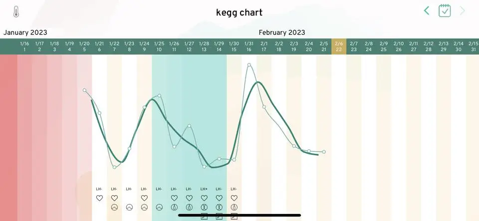 fertile-valley-chart