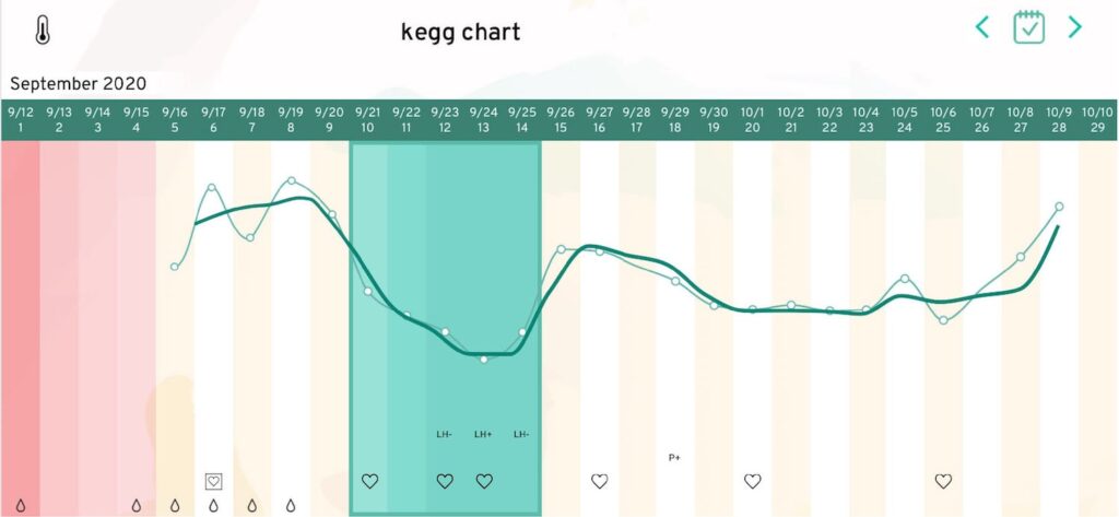 kegg cycle chart