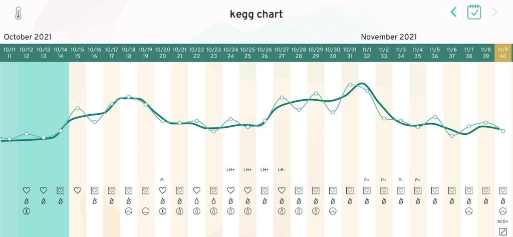 kegg chart
