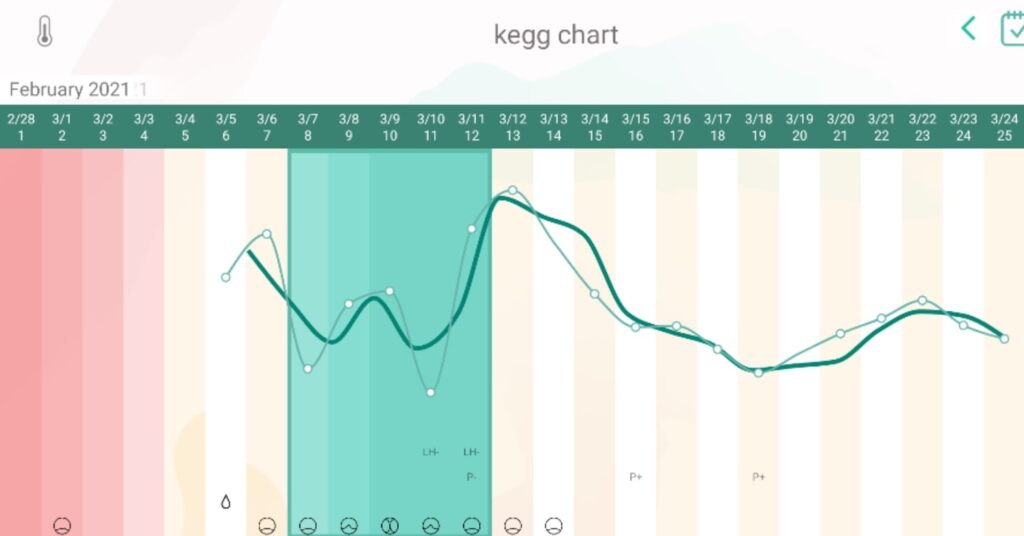 kegg cycle chart fertile window