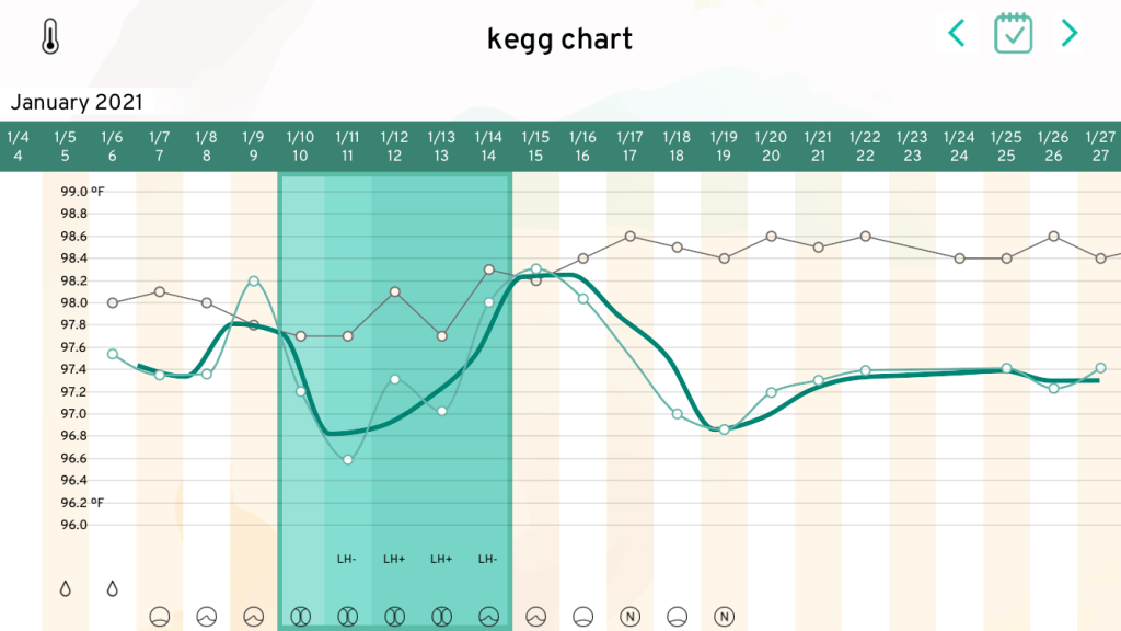 kegg-chart