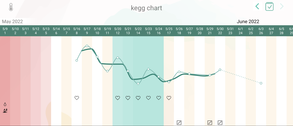 kegg-chart